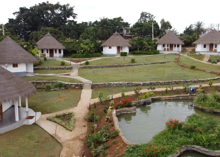 Village Noah